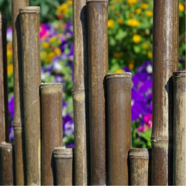Face - Lot 2 bordures de jardin en bambou Kyoto noir