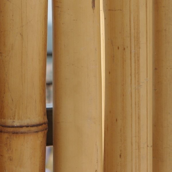 Itan - Clôture bambou régulière naturel)