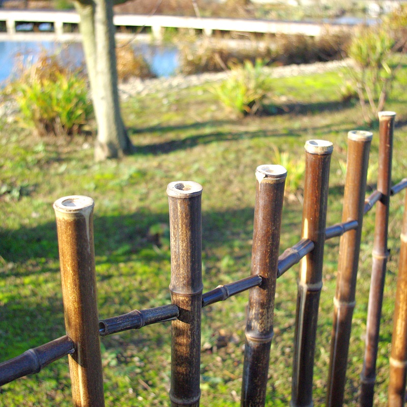 Barrière bambou noir Zaza/BBAR120 – Image 3