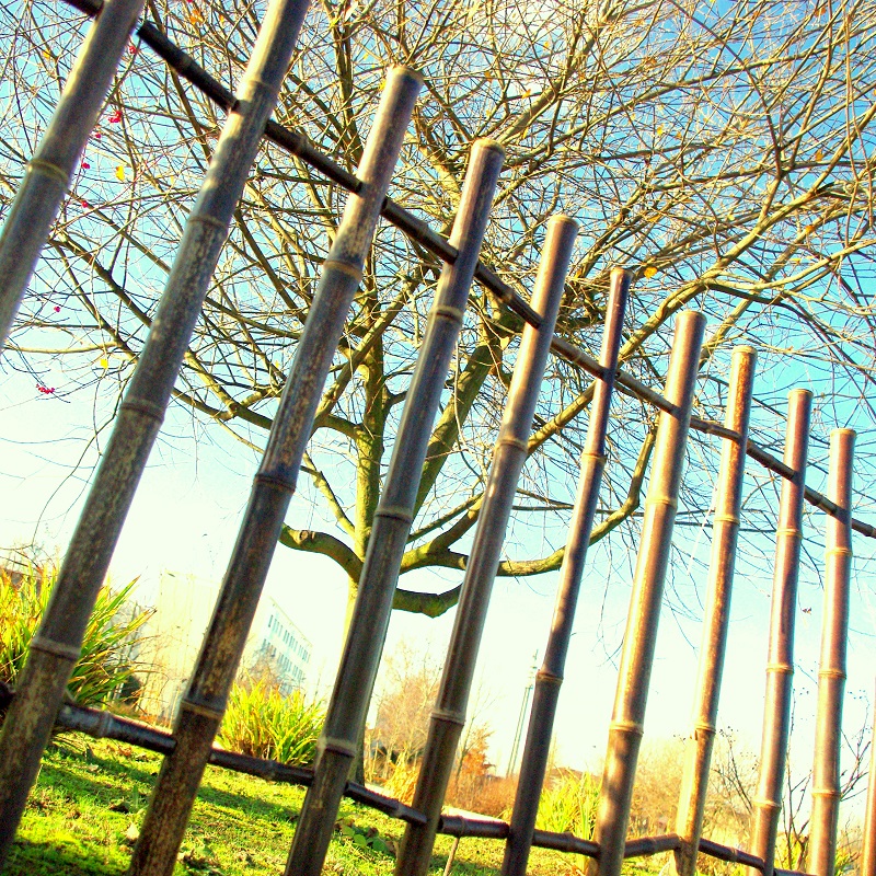 Barrière bambou noir Zaza/BBAR120