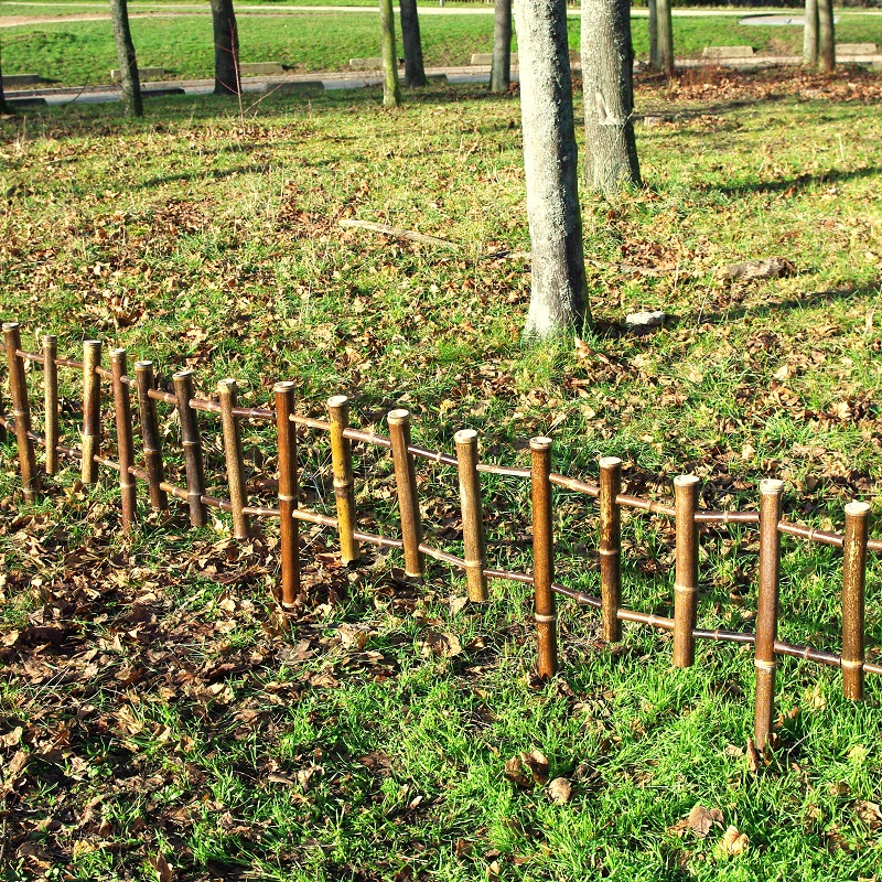 Barrière bambou noir Zain/BBAR30 – Image 2