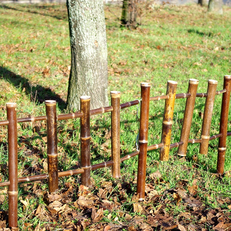 Barrière bambou noir Zain/BBAR30 – Image 3