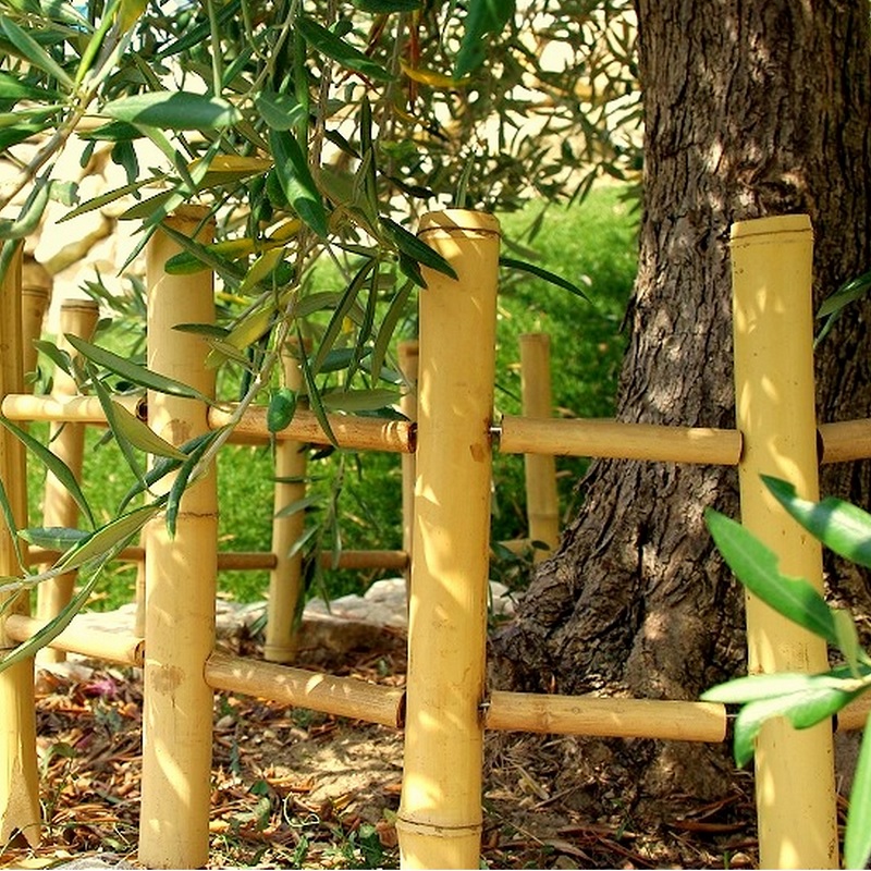 Barrière Bambou naturel Wily / BAR30 – Image 2