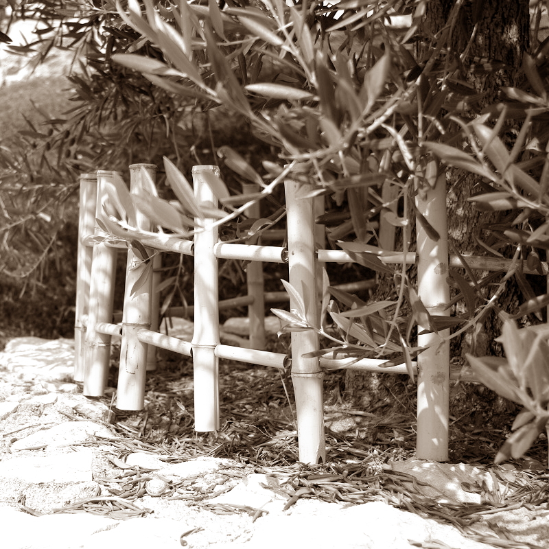 Barrière Bambou naturel Wily / BAR30 – Image 3